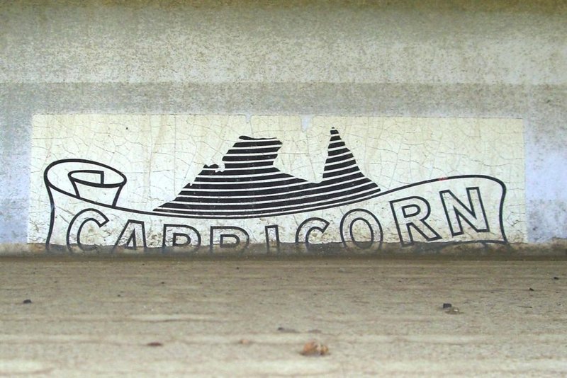 Capricorn logo on site van Tathra-c.JPG