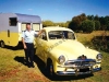 old-tom